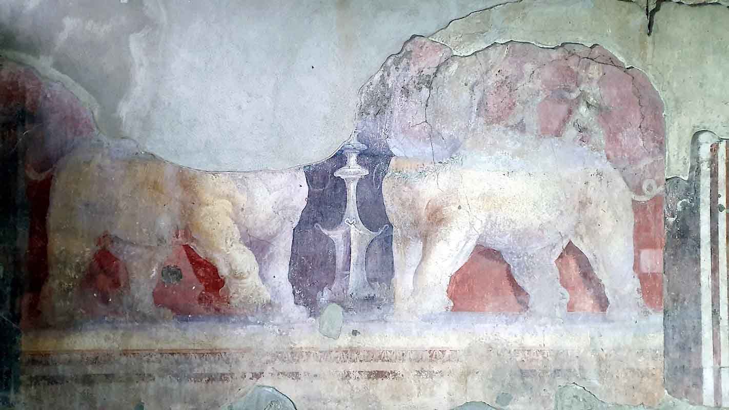 Casa del larario Pompei